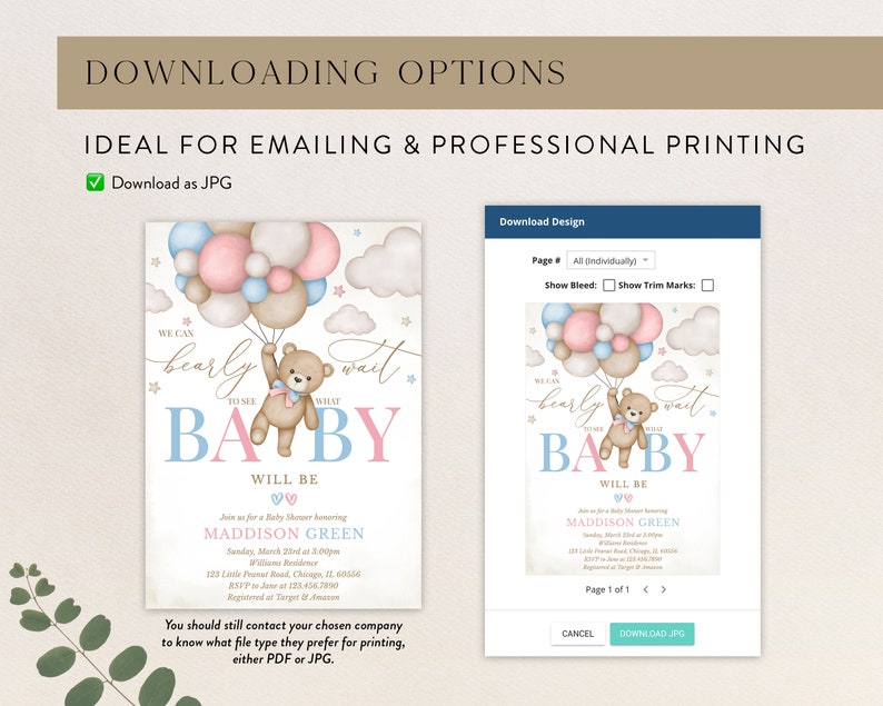 Editable Gender Revel Bear Baby Shower Invitation, Girl Boy We Can Bearly Wait Baby Shower Invite, Pink Blue Boho Bear Shower Shower, BBS824